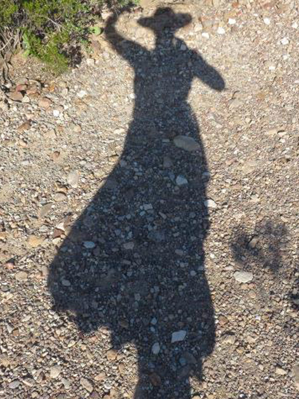 Dancing-with-Shadows